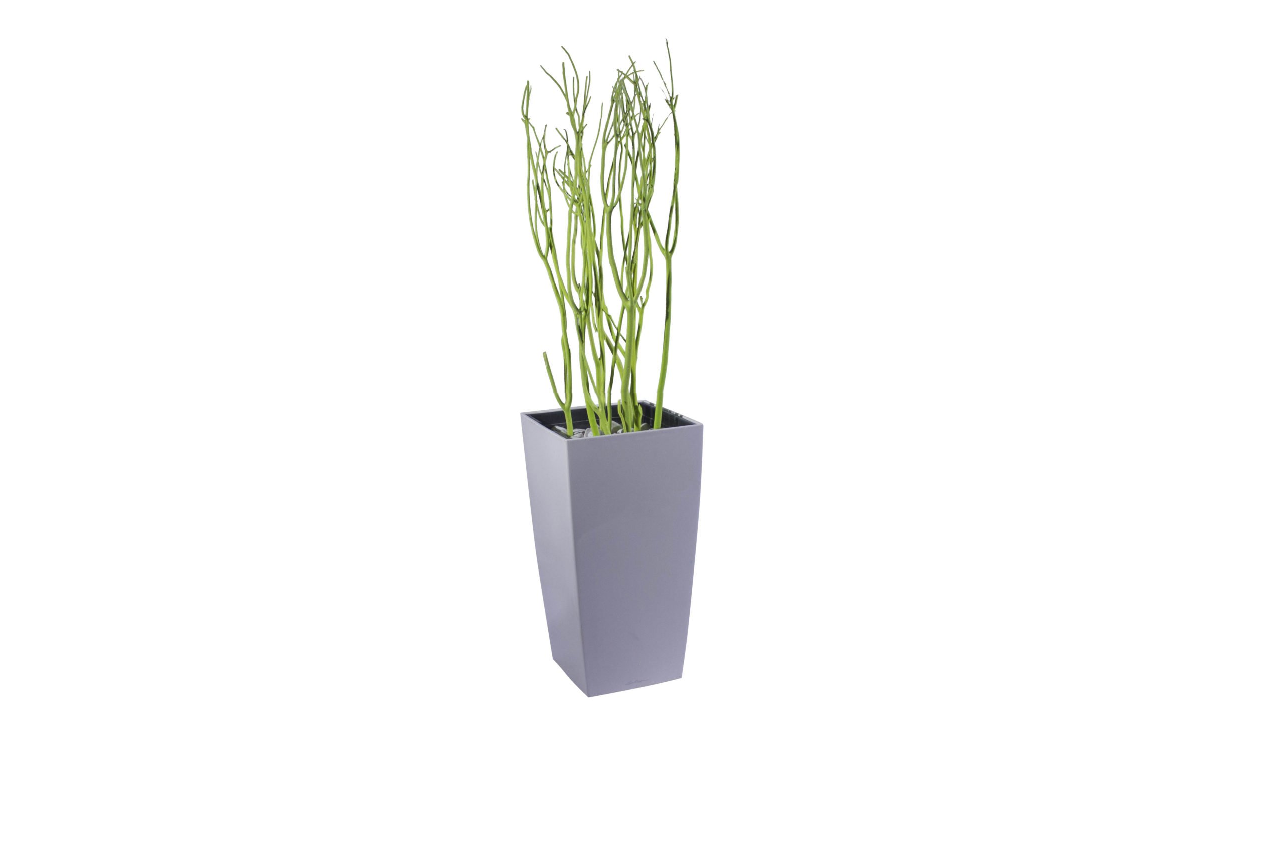 Florero ramitas Lime